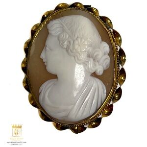Antique shell Cameo pin